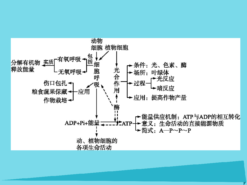 2017-2018学年高中生物 第四章 光合作用和细胞呼吸本