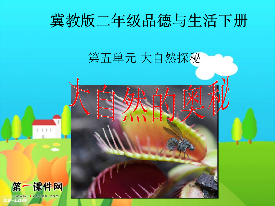 (冀教版)二年级品德与生活下册课件 大自然的奥秘 1.