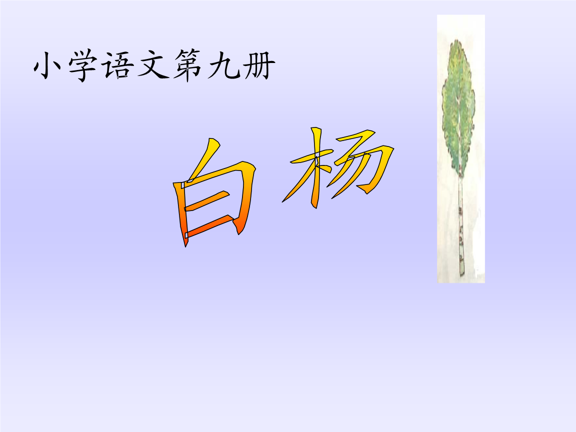 白杨.ppt