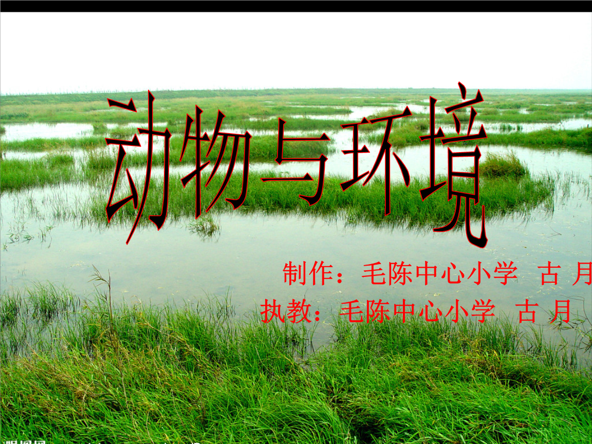 粤教版六年级上册《动物与环境》.ppt