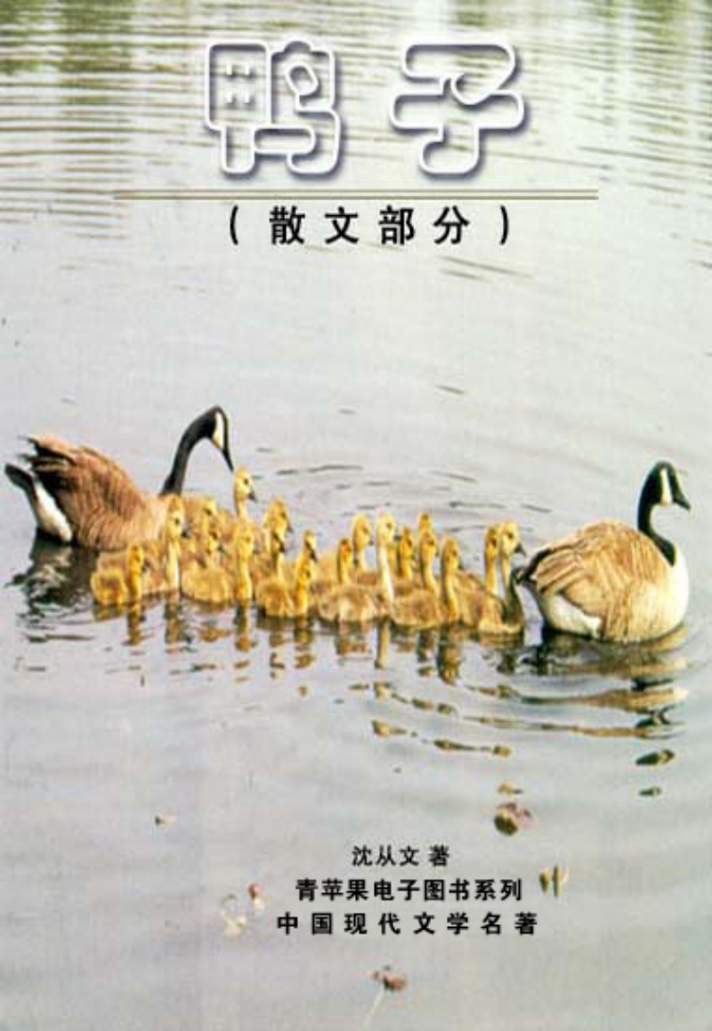 《鸭子-散文部分》中国现代文学教育丛书.pdf