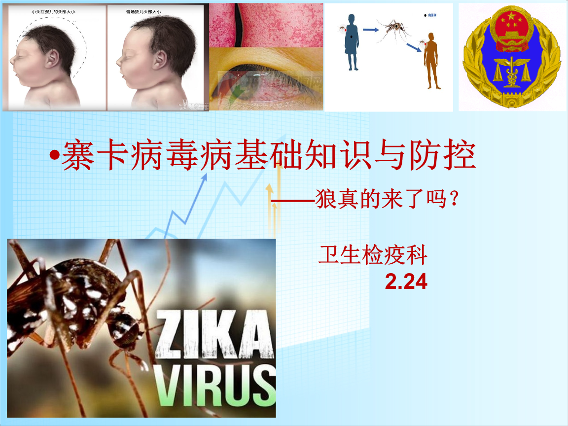 寨卡病毒病基础知识与防控ppt.ppt