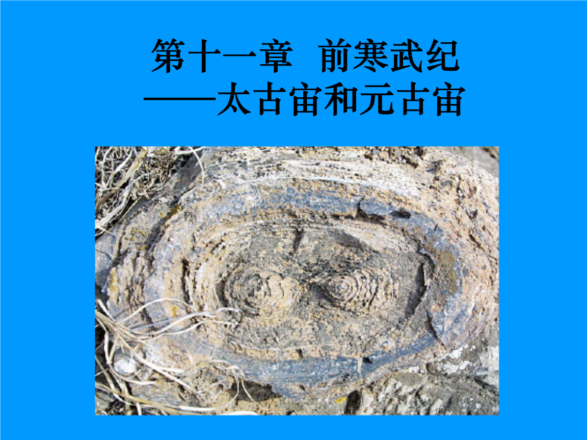 第十一章 前寒武纪—太古宙和元古宙.ppt