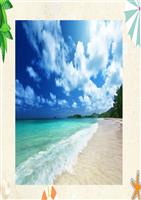 部编人教版二年级语文下册第10课《沙滩上的童话》课件.pptx