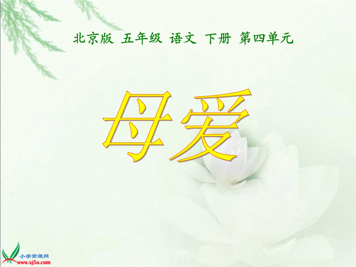 (北京版)五年级语文下册课件 母爱 1.ppt