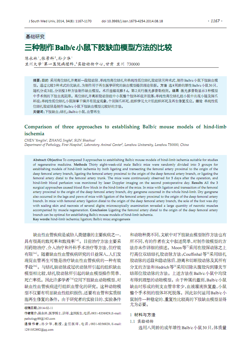 三种制作balbc小鼠下肢缺血模型方法的比较.pdf