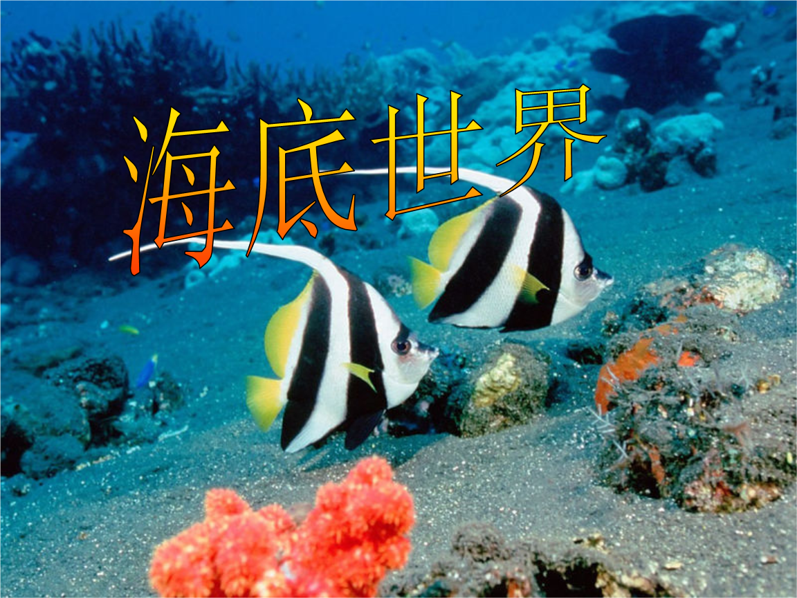 海底世界 原创课件.ppt_脾气网 海底世界 原创课件.ppt