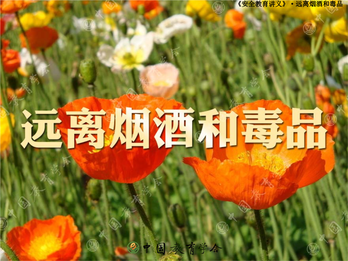 6.5 远离烟酒和毒品经典案例.ppt