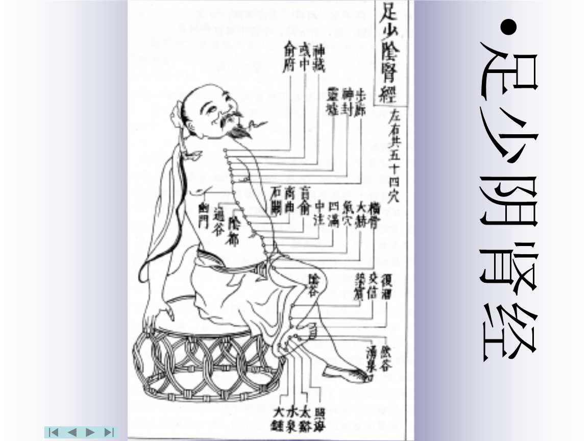 八,足少阴肾经.ppt
