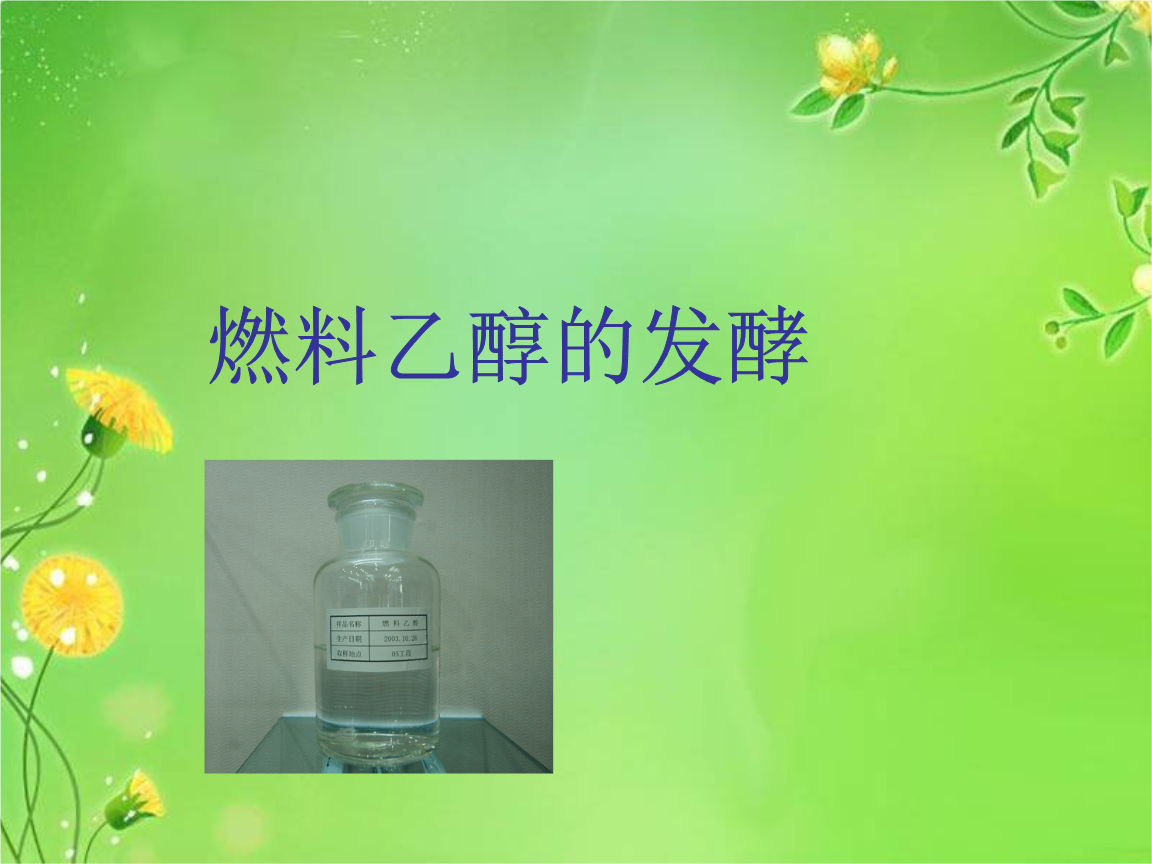 燃料乙醇制备.ppt