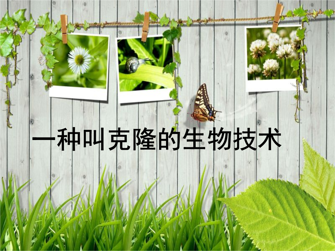 克隆生物技术课件.ppt