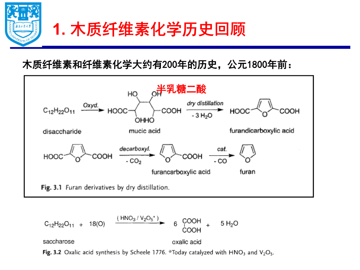 木质纤维素转化.pptx