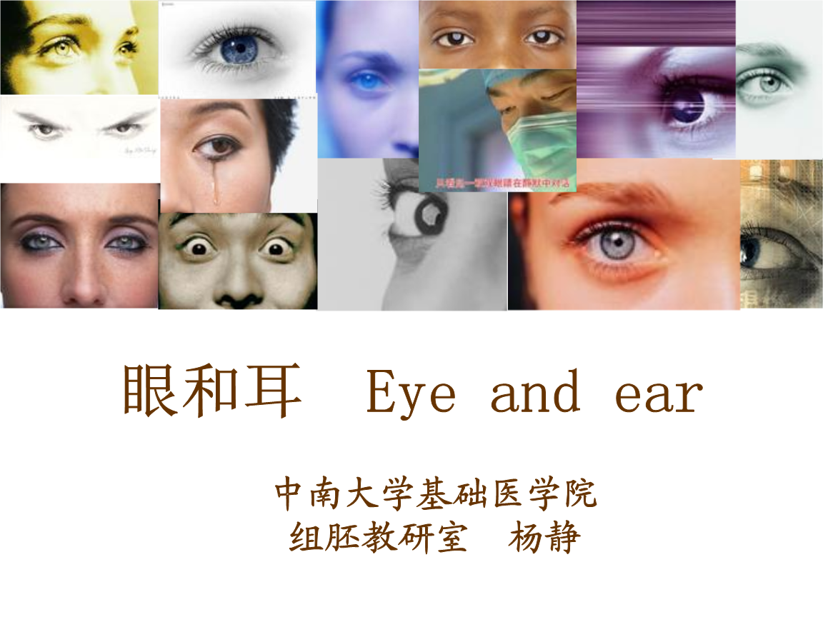 第09章 眼和耳幻灯片.ppt