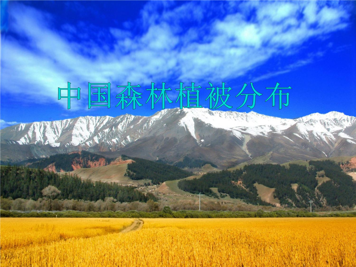 森林培育1---森林植被地带分布特点.ppt