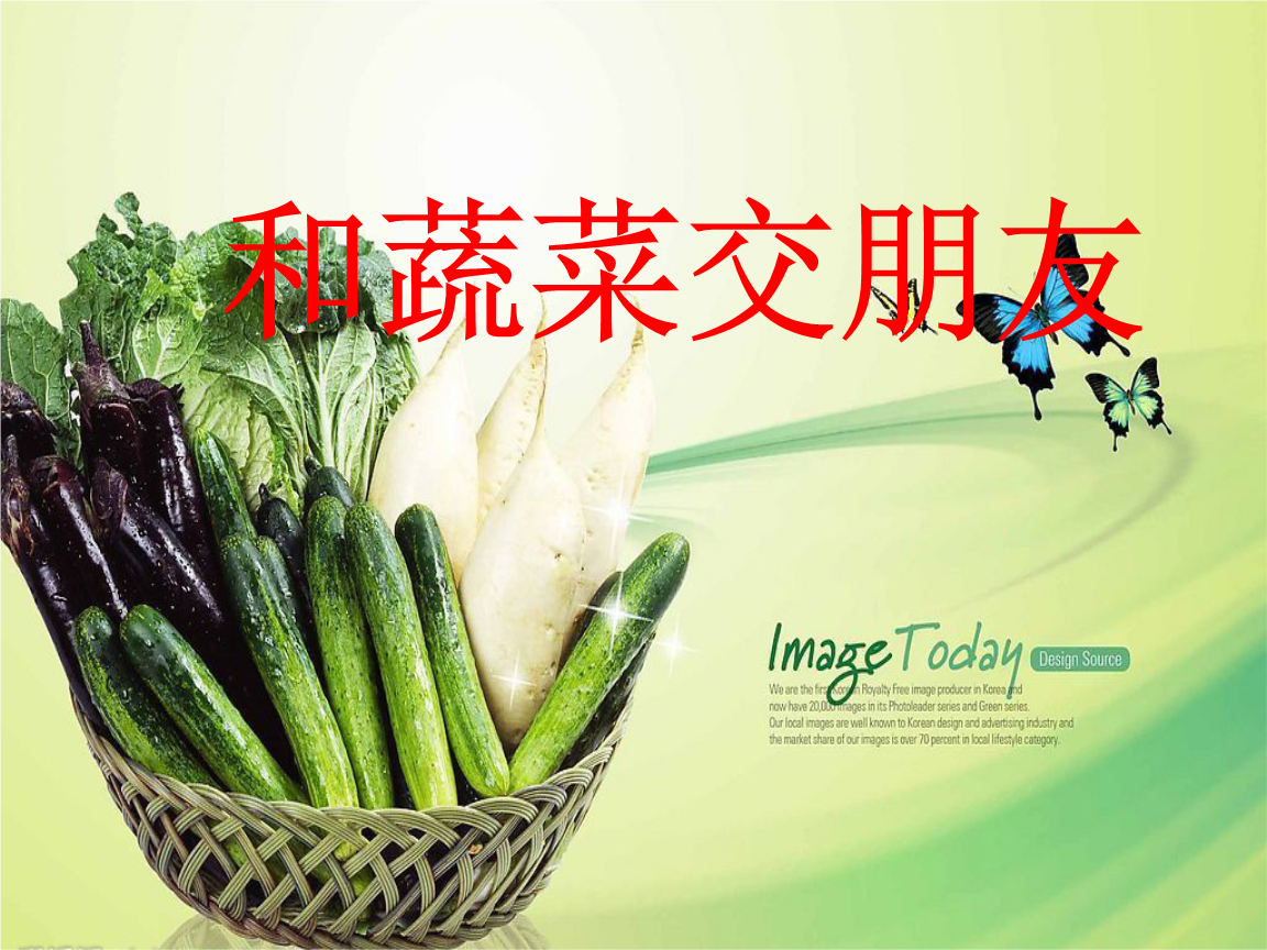 与蔬菜交朋友课件.ppt