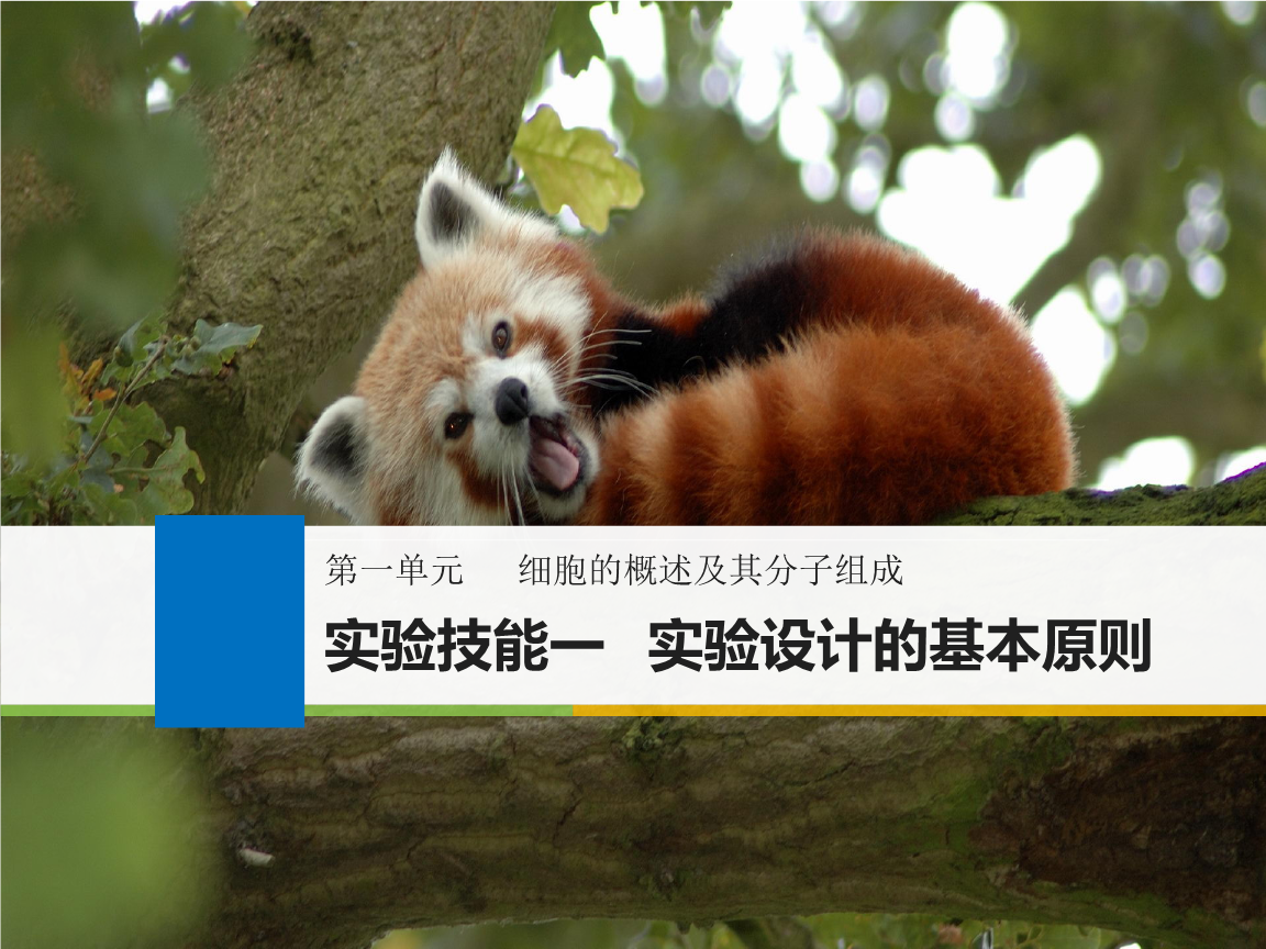 2019版高考数学(小学版江苏通用)大一轮复习人教多媒体课件生物教学设计图片