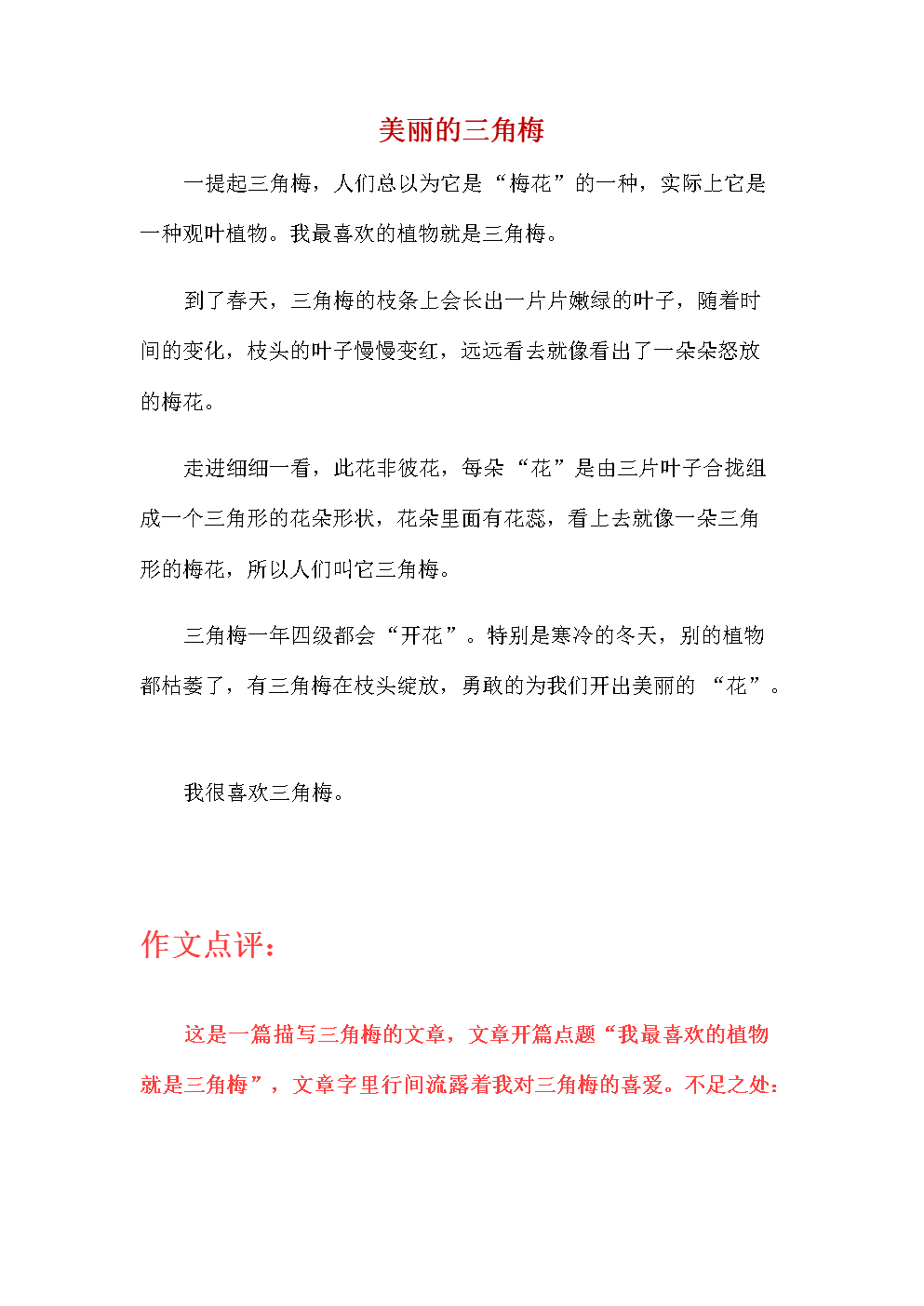 描写自然的作文:美丽的三角梅.docx 2页