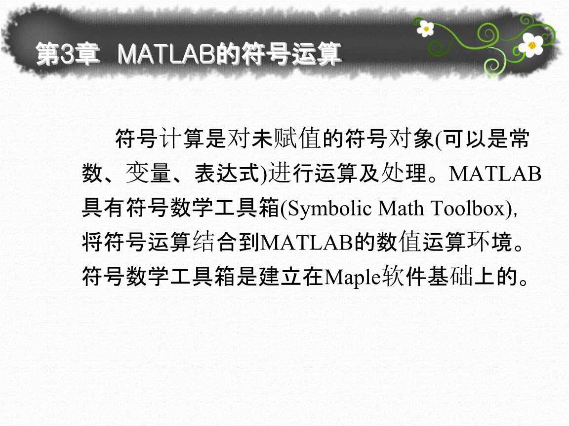 MATLAB符号运算应用.pptx