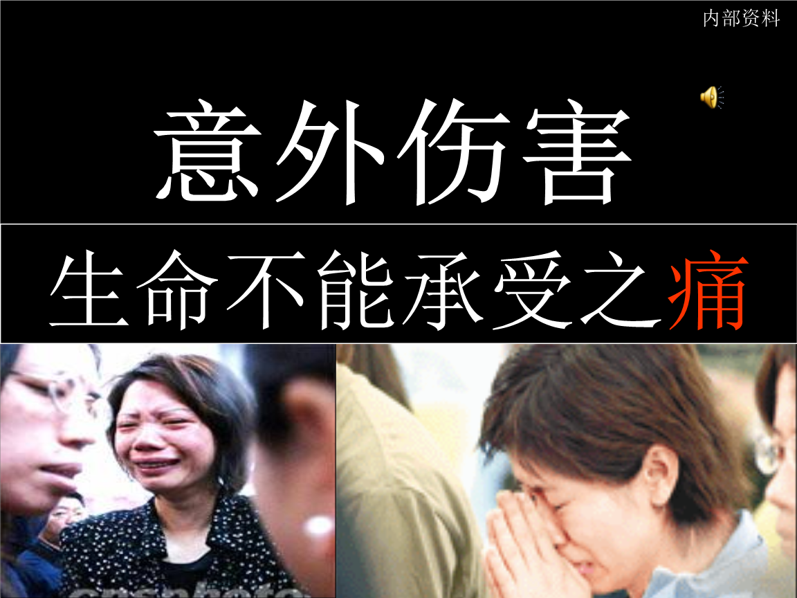 寿险意义和功用——生命不能承受之痛.ppt.ppt