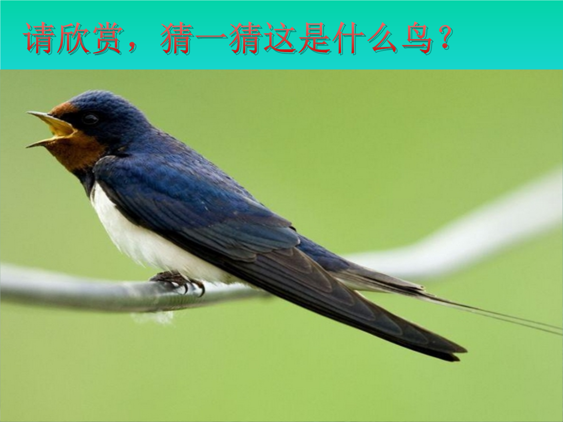 人教版三年级下册《燕子专列》ppt完美课件.pptx