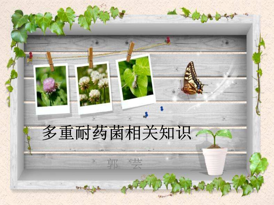 多重耐药菌课件[精华].ppt