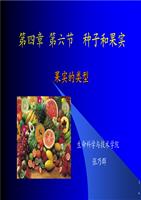 果实的类型PPT课件..ppt