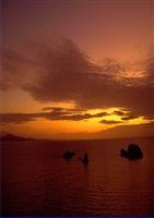 运动系统理学检查法-骨科查体基本功.ppt