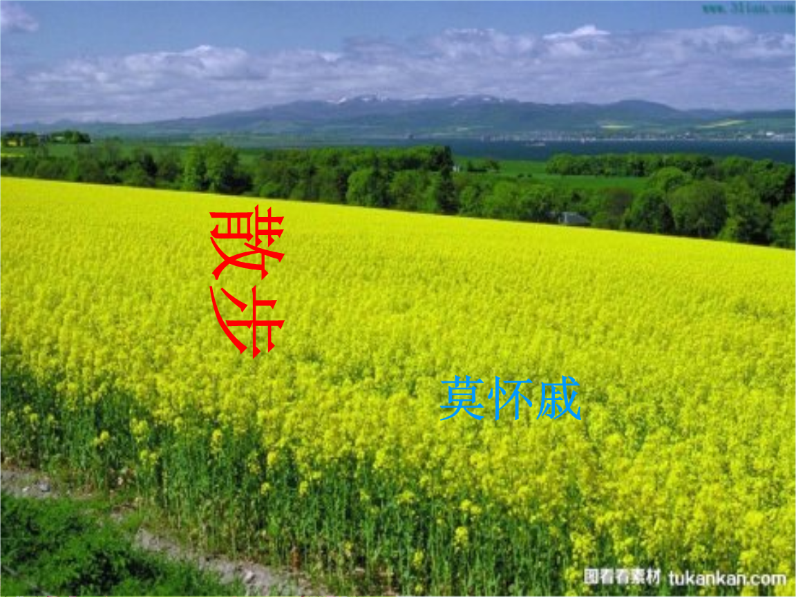 教案散步课件.ppt.ppt