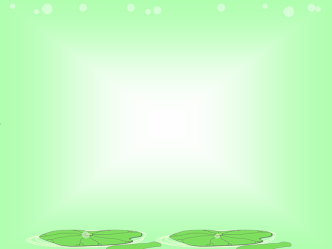 14荷叶圆圆定稿课件.ppt