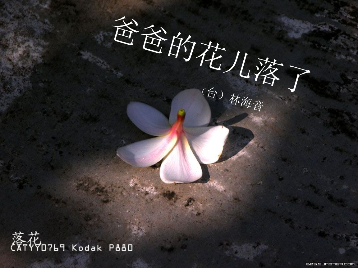 《李珊珊汉教3班爸爸的花儿落了(1841kb).ppt》