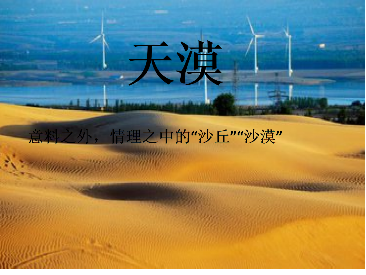 情理之中意料之外沙漠沙丘.ppt