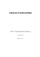 水利安全生产标准化自评报告[精品].doc
