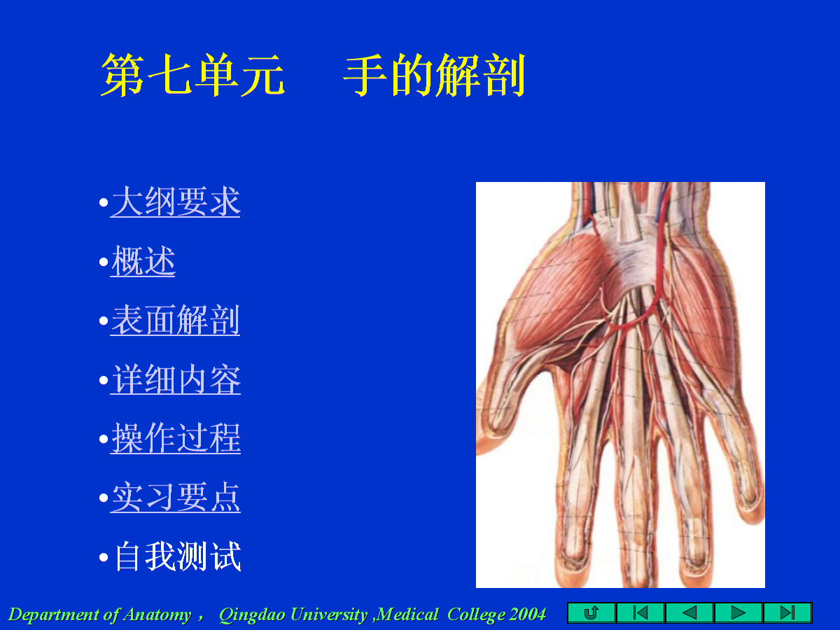 手解剖幻灯.ppt