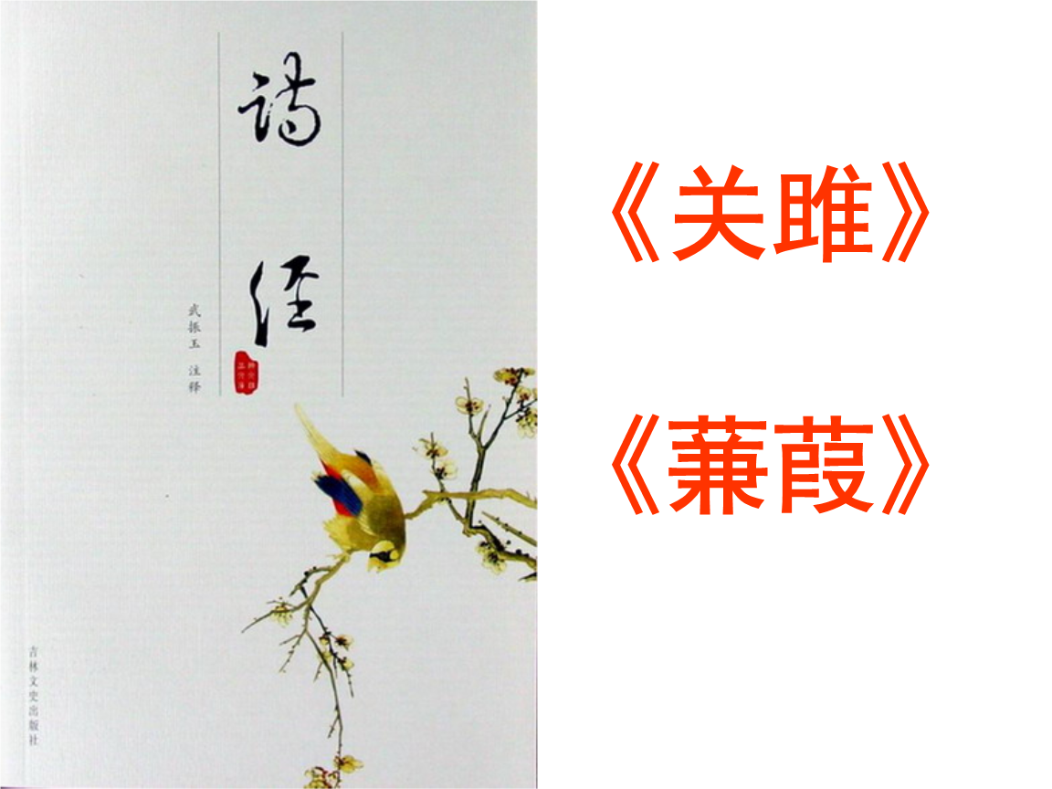 人教部编版八年级语文下册12《诗经》二首-关雎课件(共19张ppt).ppt