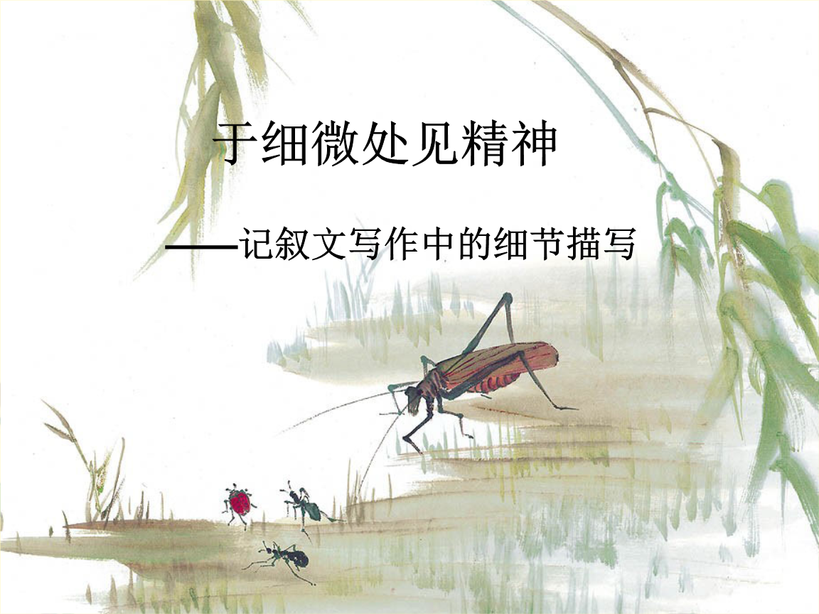 抓住细节作文指导课.ppt