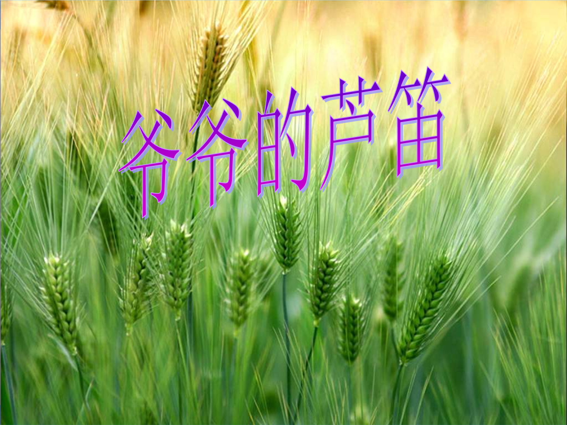 语文s版四下《爷爷的芦笛》ppt课件_1.ppt