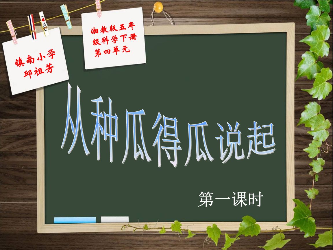 《1从种瓜得瓜说起课件》小学科学湘科版五年级下_1.ppt