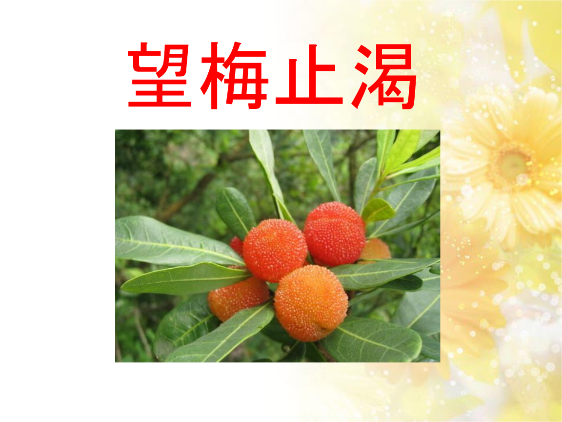 语文s版语文一年级下册望梅止渴.pptx 8页