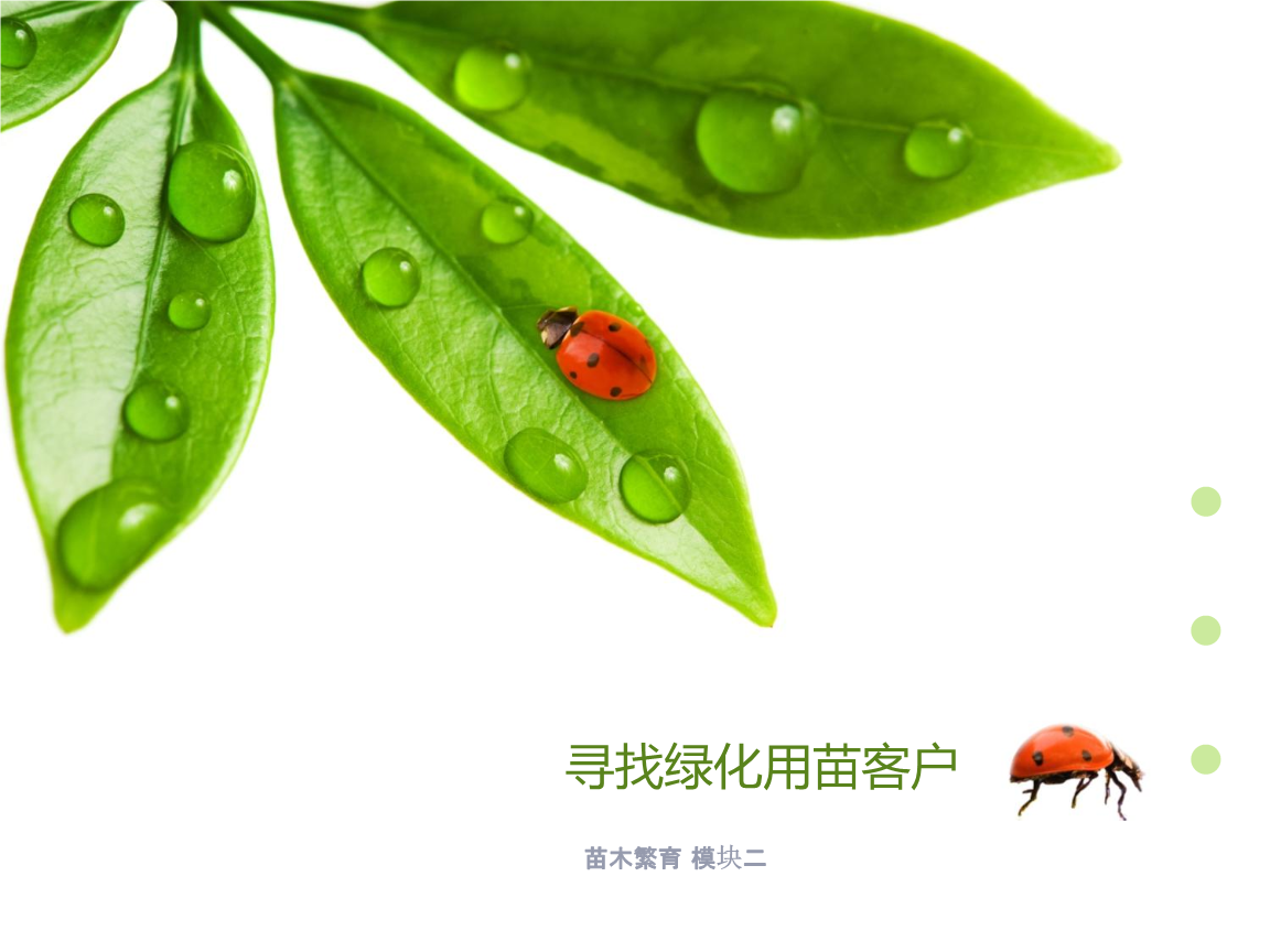 寻找用苗客户.pptx