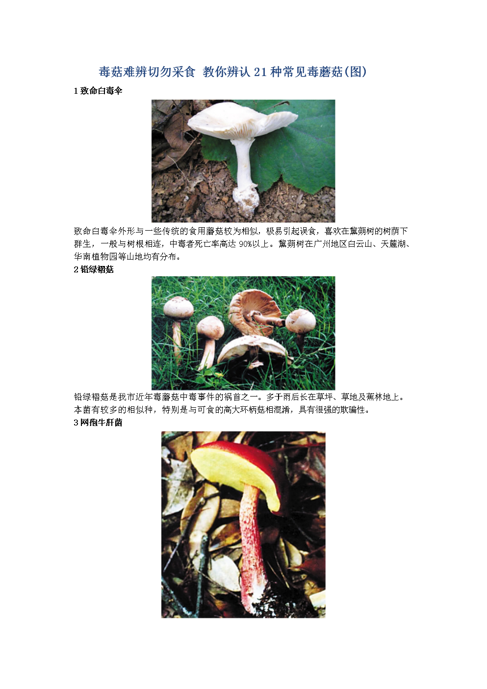 毒菇难辨切勿采食 教你辨认21种常见毒蘑菇图.doc