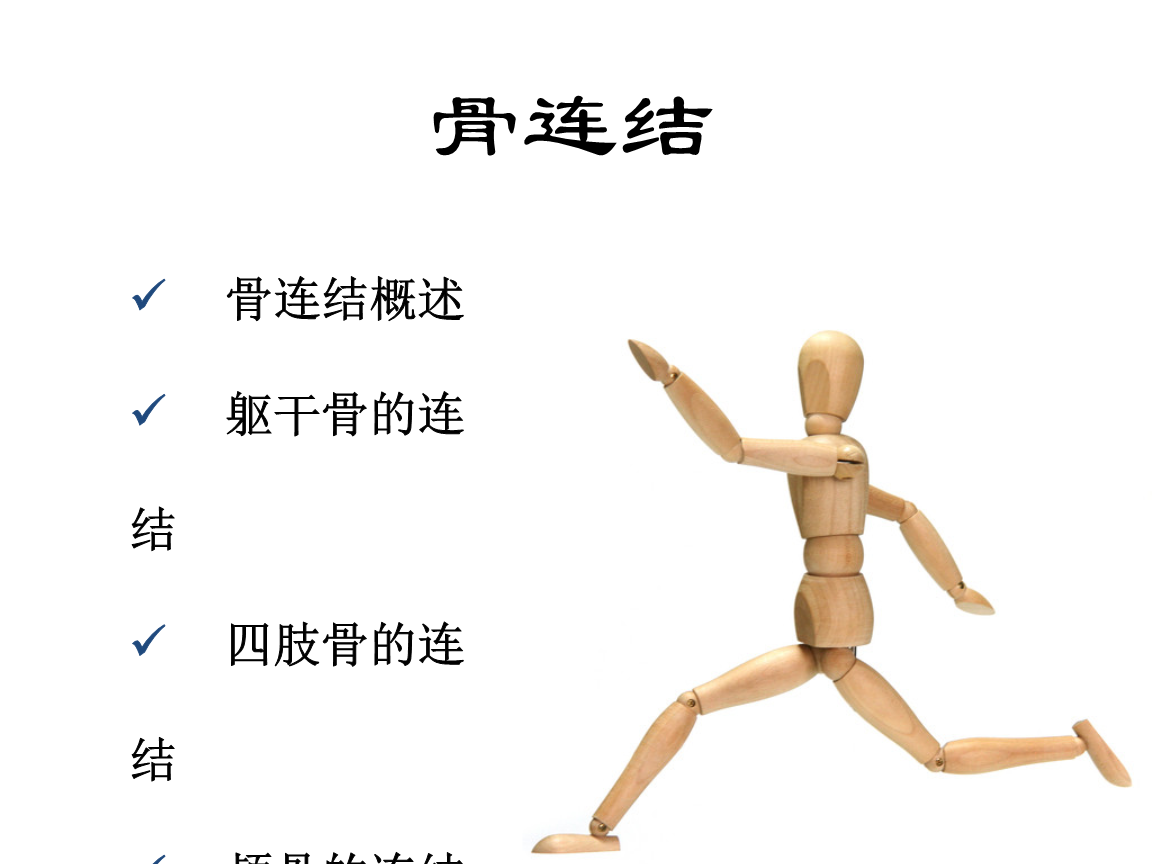 人体解剖学骨连结 ppt课件.pptx