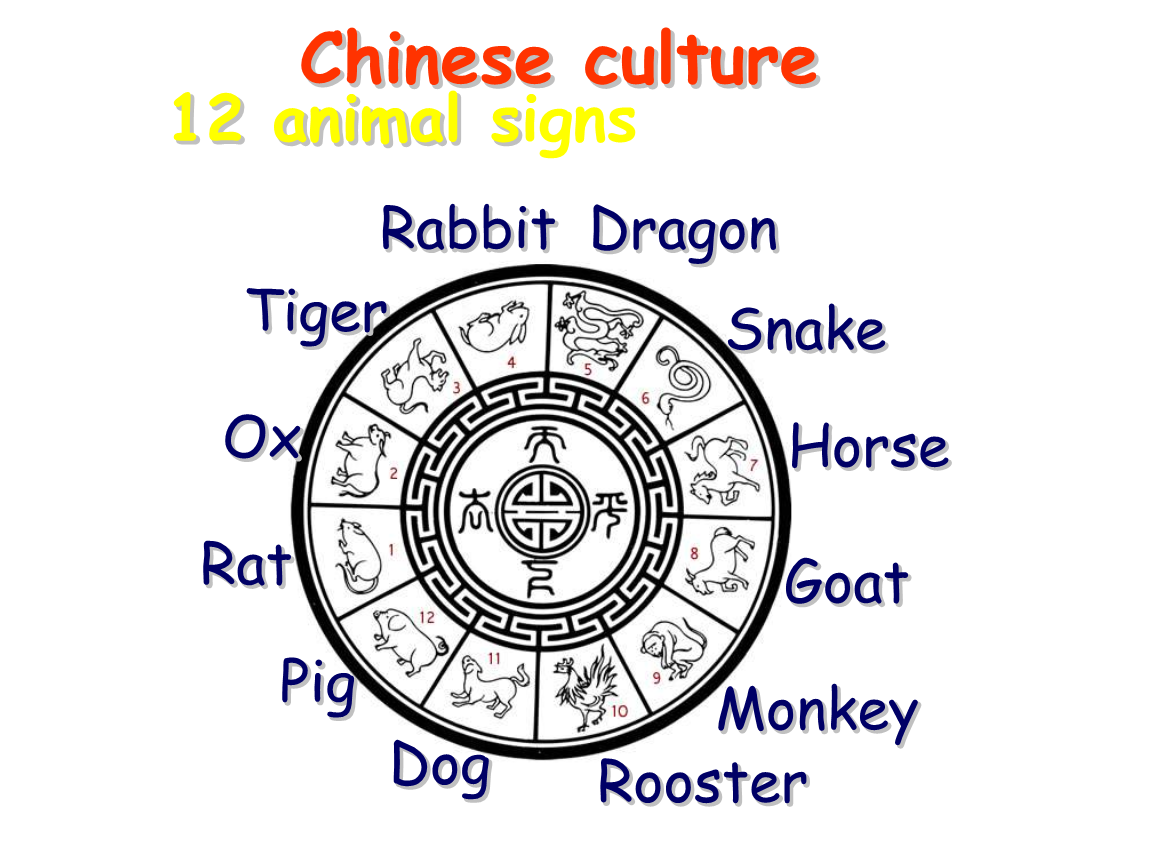 九年级英语starsigns课件21.pptx