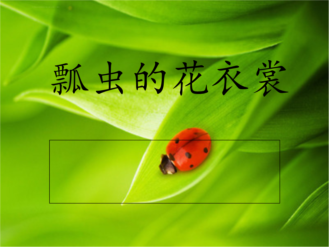 瓢虫的花衣裳课件小学美术人教2011课标版一年级下册课件_12.ppt