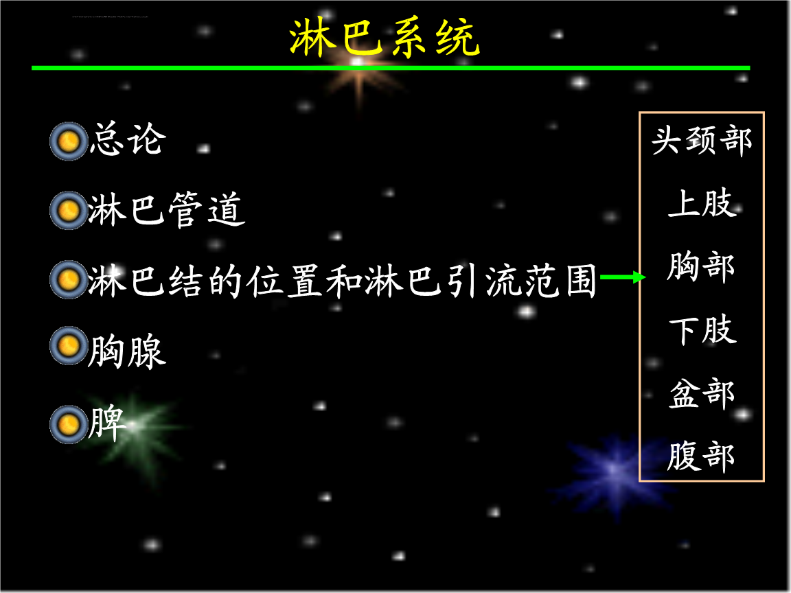 淋巴系统ppt课件_2.ppt