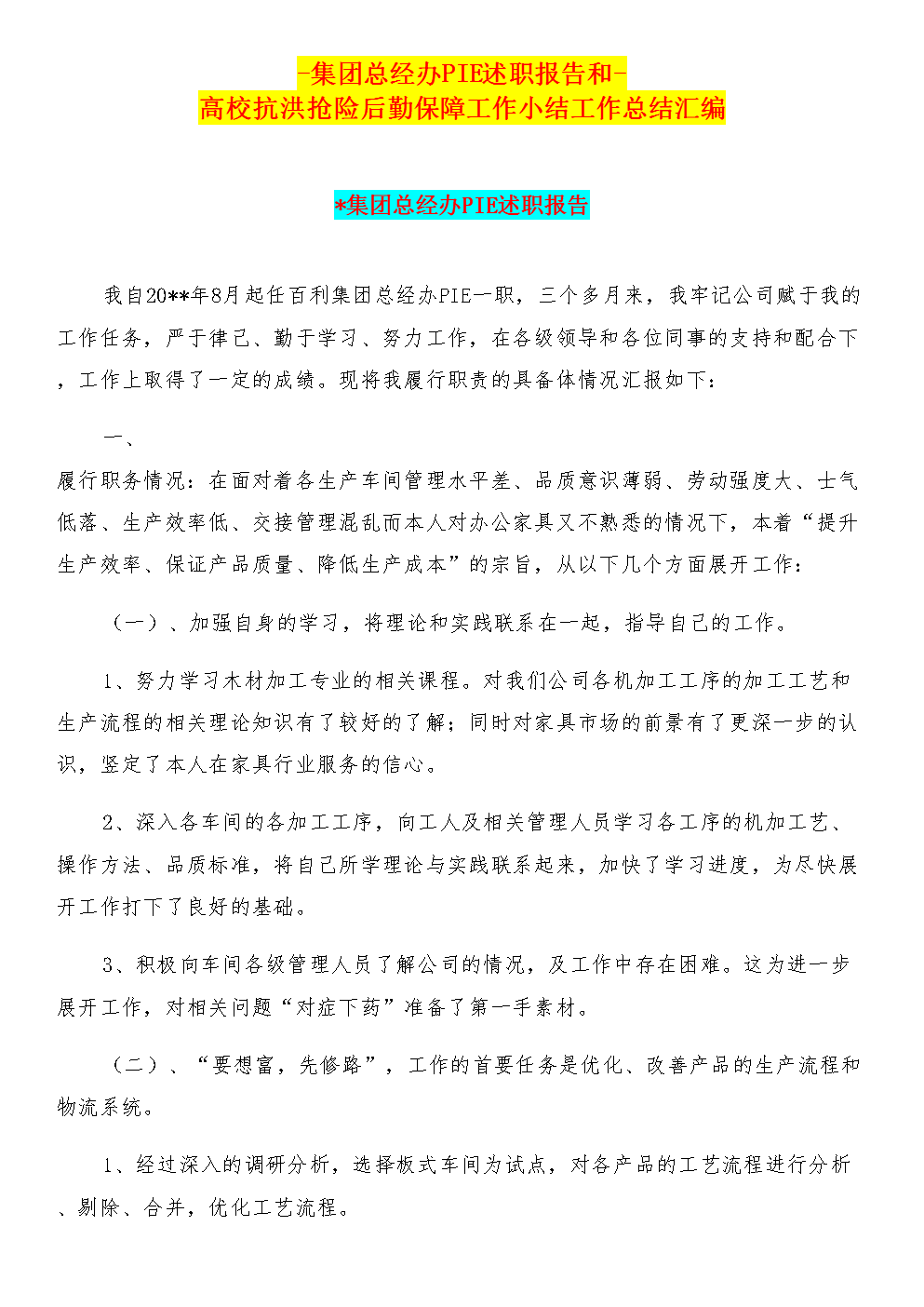 集团总经办PIE述职报告和-高校抗洪抢险后勤保