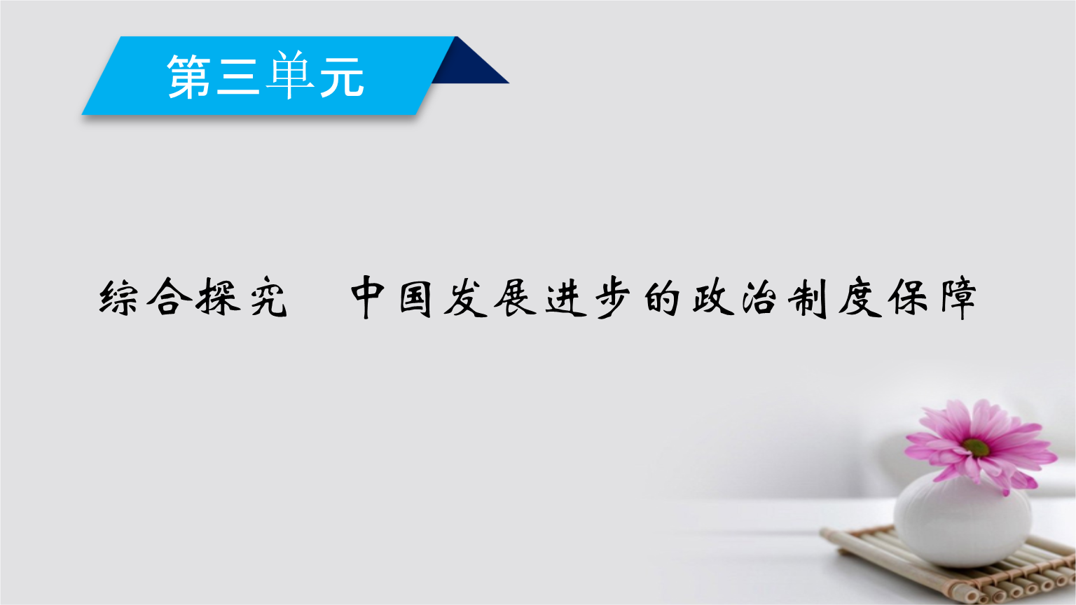 2017_2018学年高中政治综合探究3中国发展进步的政治制度保障课件新