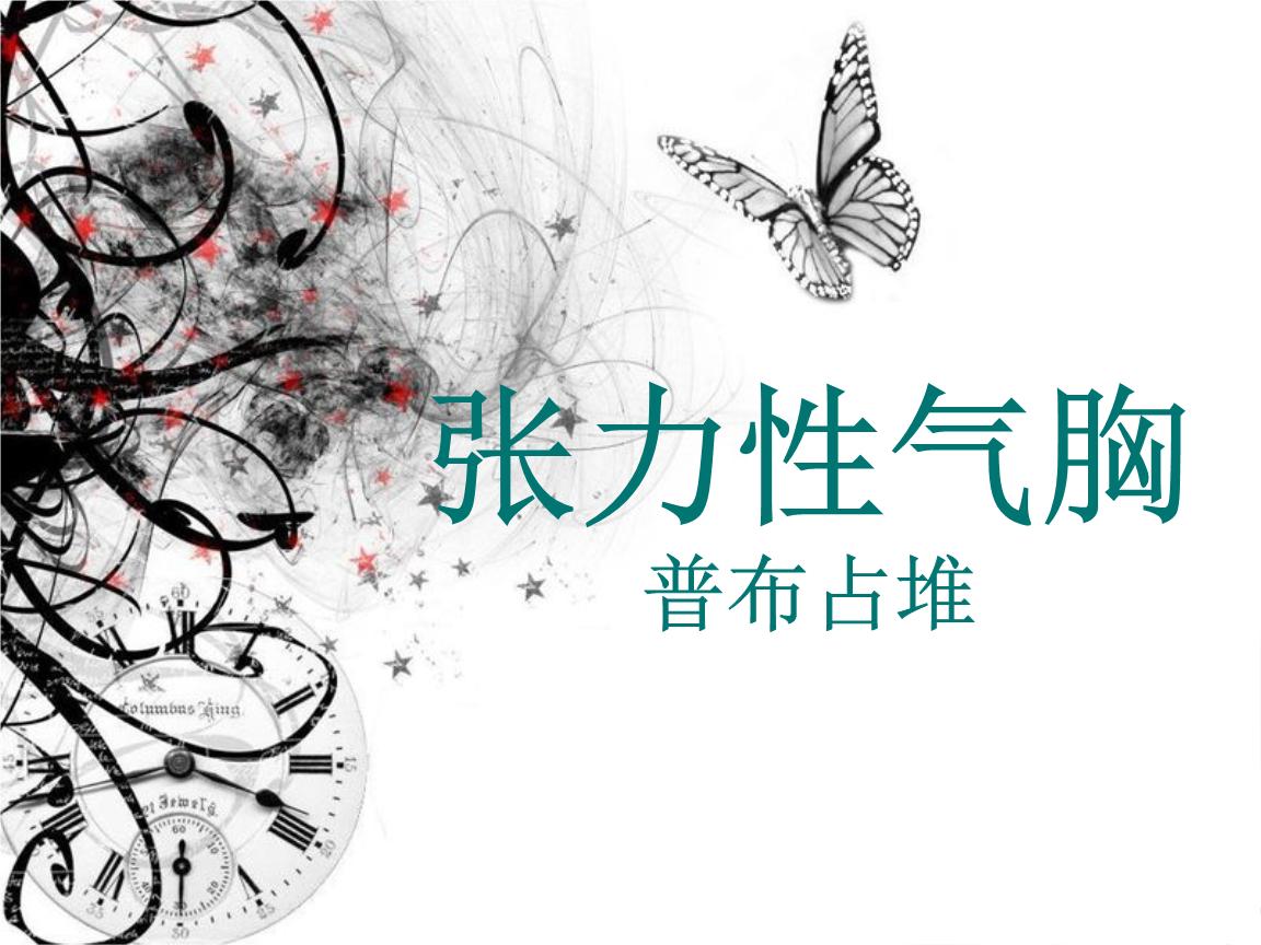 普布-教学课件.ppt