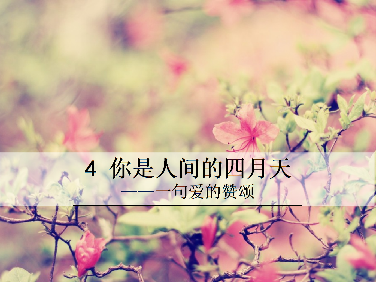 4 你是人间的四月天——一句爱的赞颂.ppt