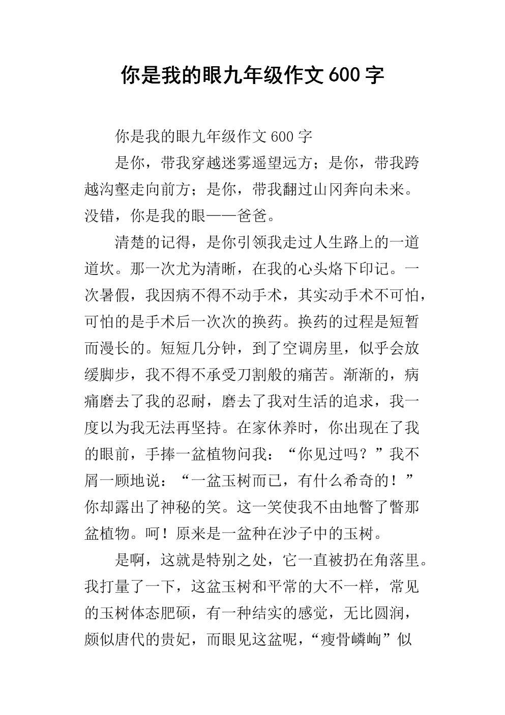 你是我的眼九年级作文600字.docx