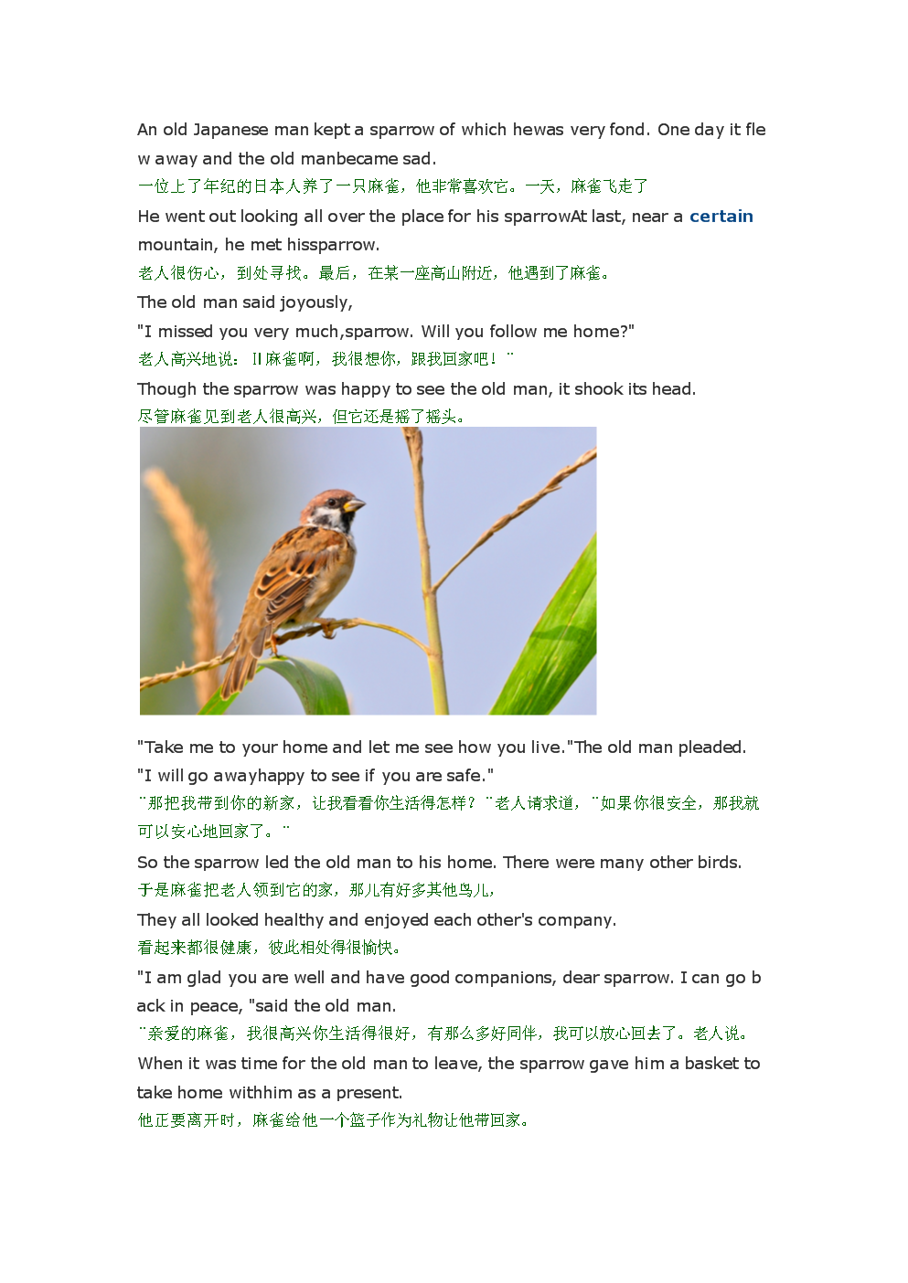 麻雀the sparrow.docx